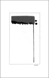 Auge 38 (2011)